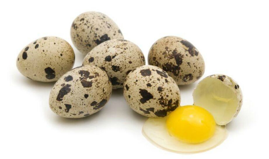 quail eggs for efficiency