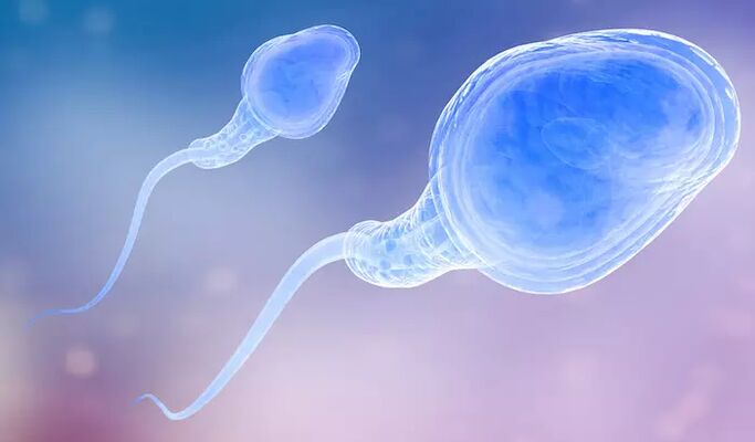 Sperm may be present in the man's preejaculate
